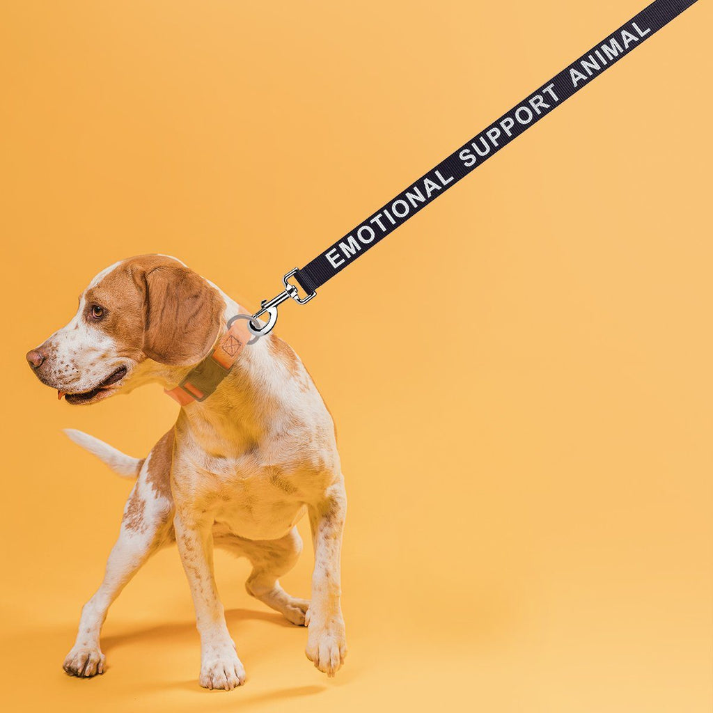 Reflective Nylon Dog Leash by Dogline