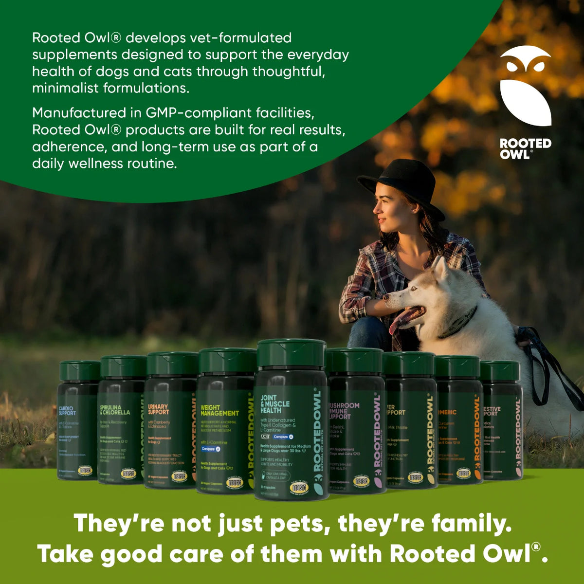 Mushroom Immune Support by Rooted Owl Pet Supplements