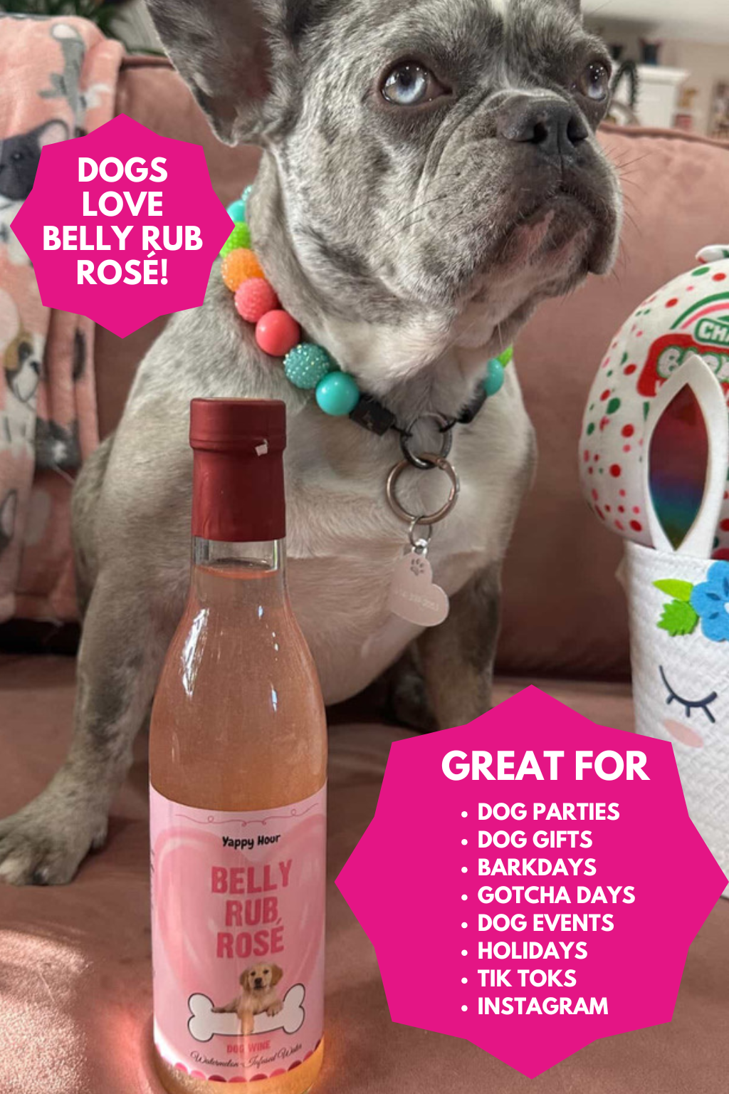 The Dog Wine Bundle | 3ct by Yappy Hour