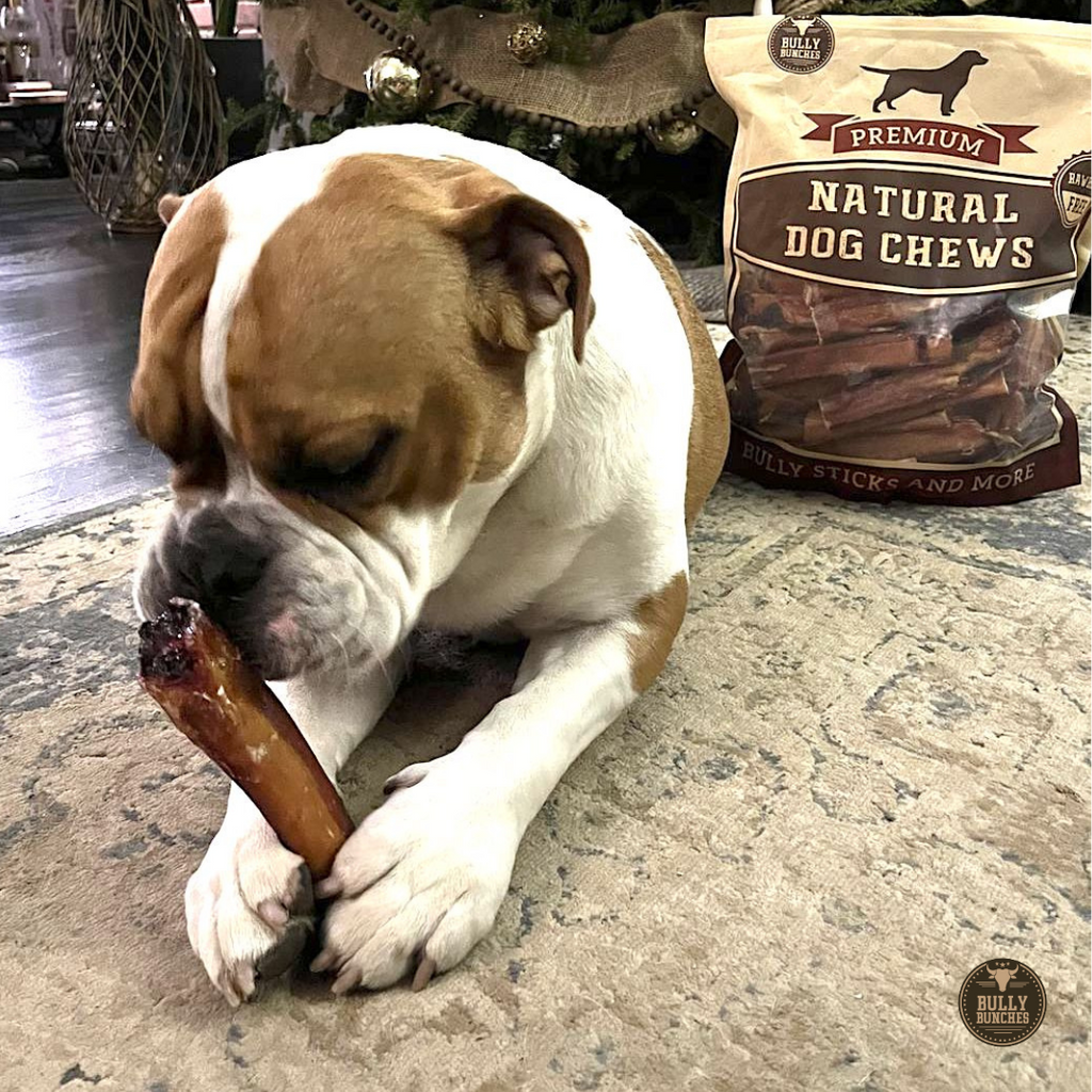 6 Inch Monster Bully Stick by Bully Bunches
