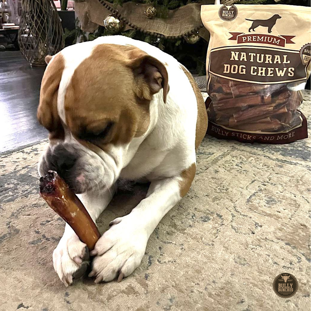 6 Inch Monster Bully Stick by Bully Bunches
