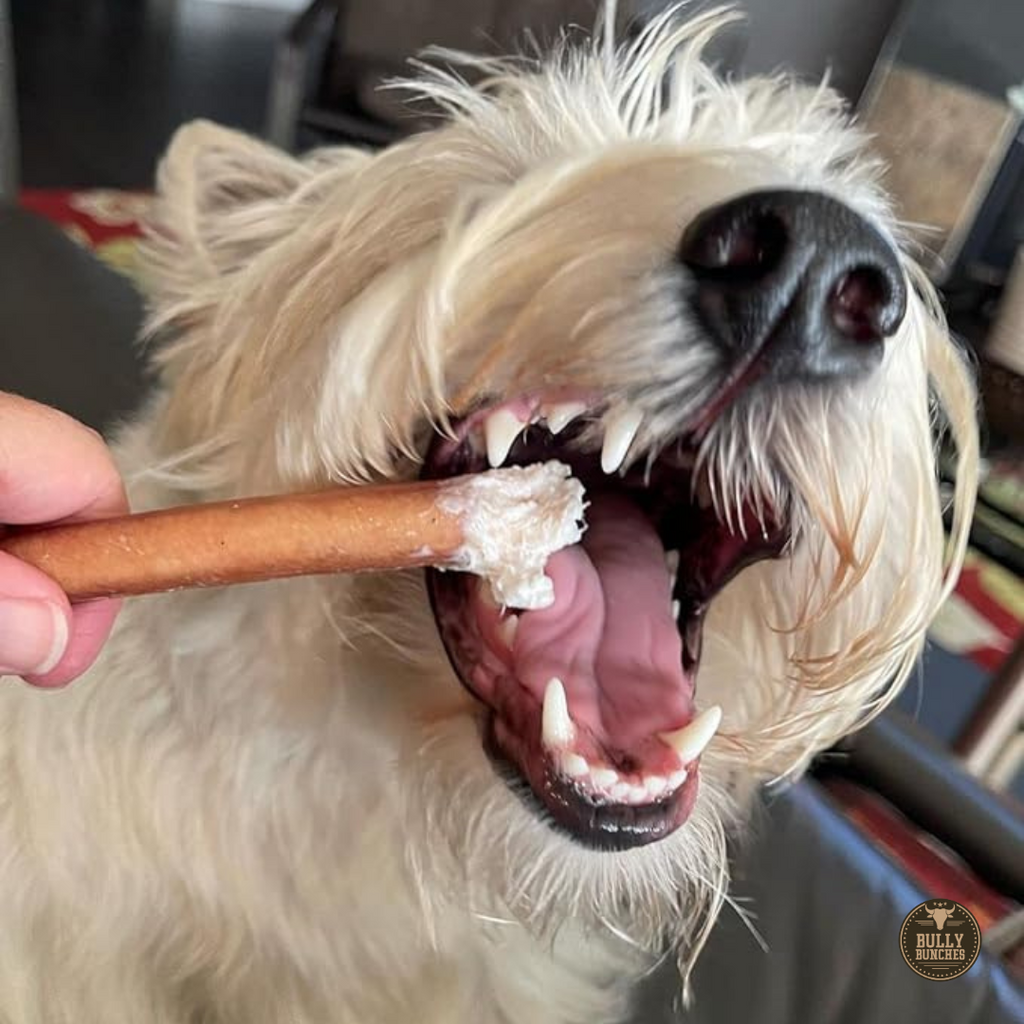 6 Inch Standard Bully Stick by Bully Bunches