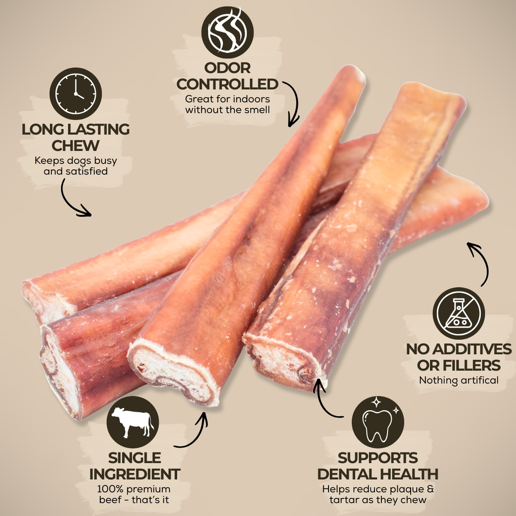6 Inch Thick Bully Stick by Bully Bunches
