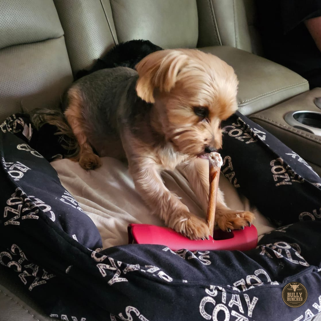 5-6 Inch Collagen Stick by Bully Bunches