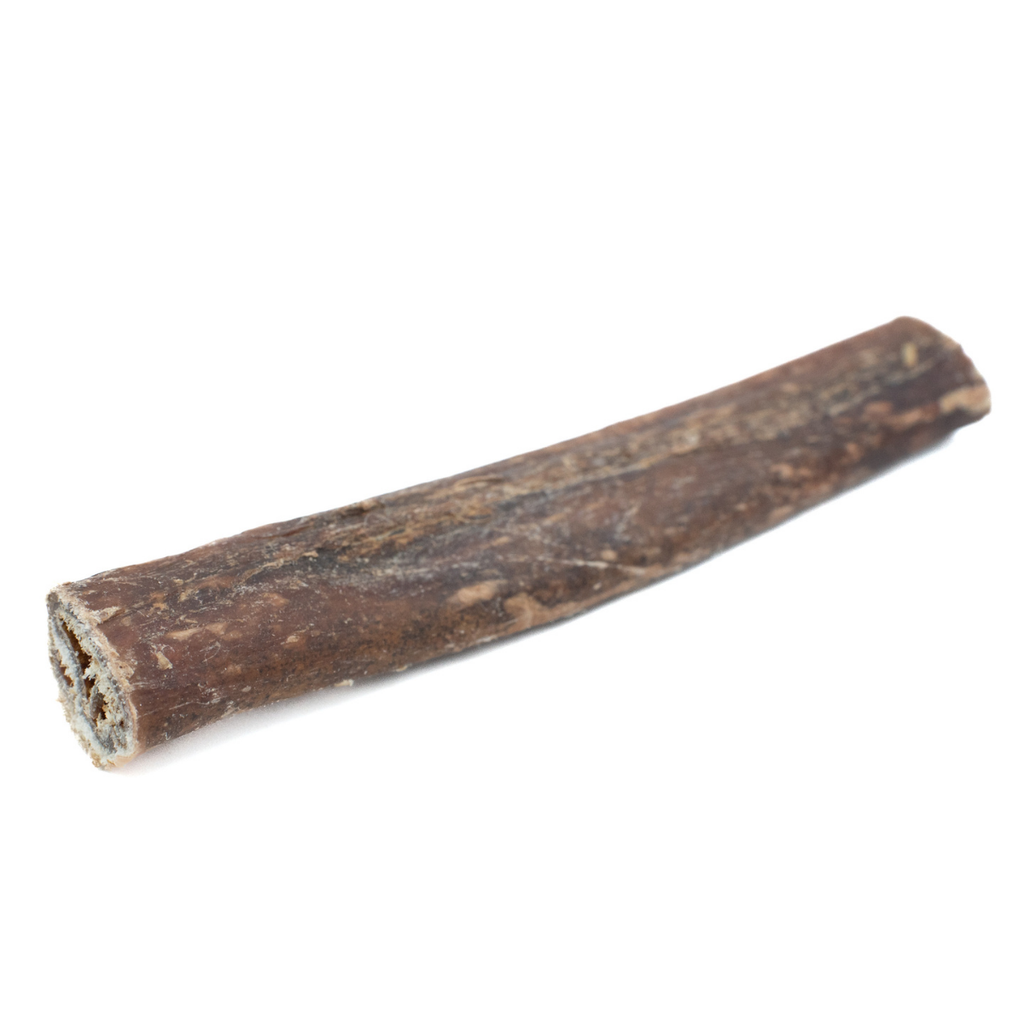 5-6 Inch Champion Chew by Bully Bunches