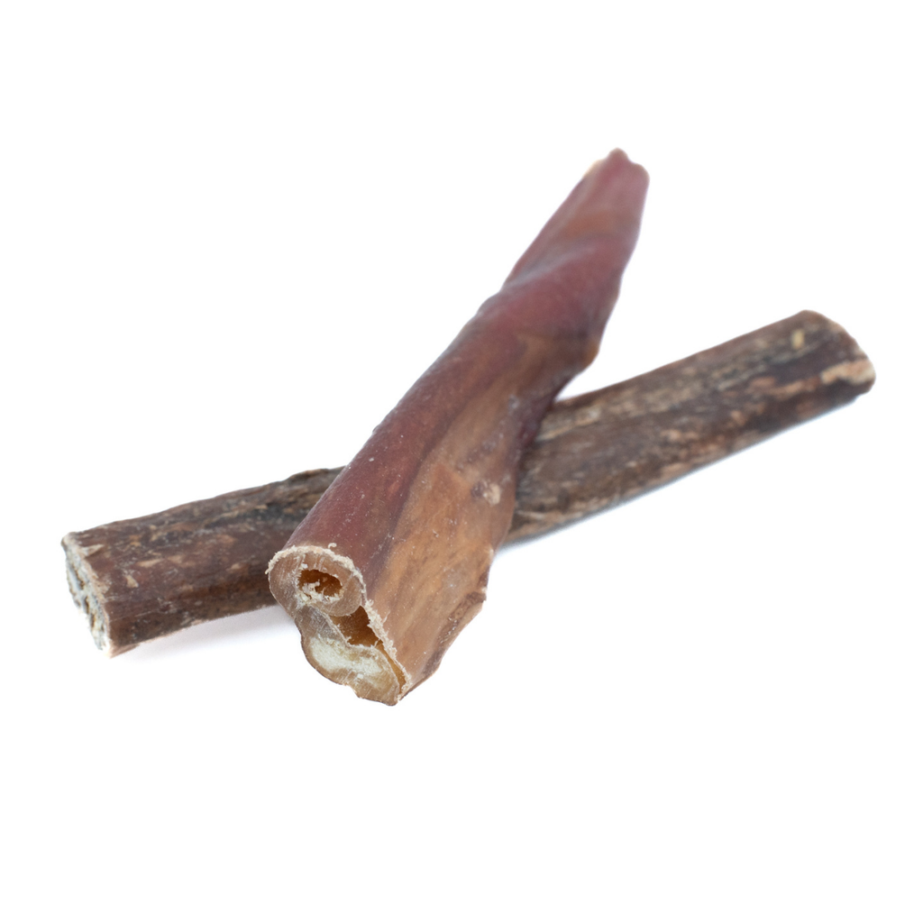5-6 Inch Champion Chew by Bully Bunches
