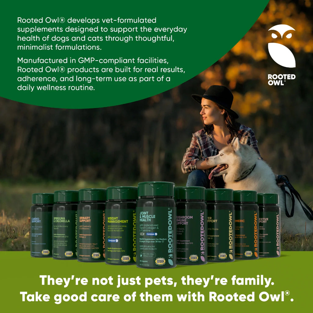 Turmeric by Rooted Owl Pet Supplements