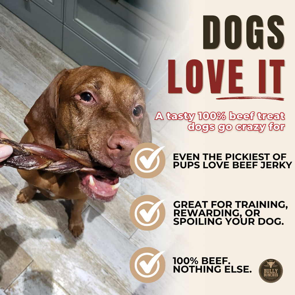 6 Inch Braided Jerky Stick by Bully Bunches