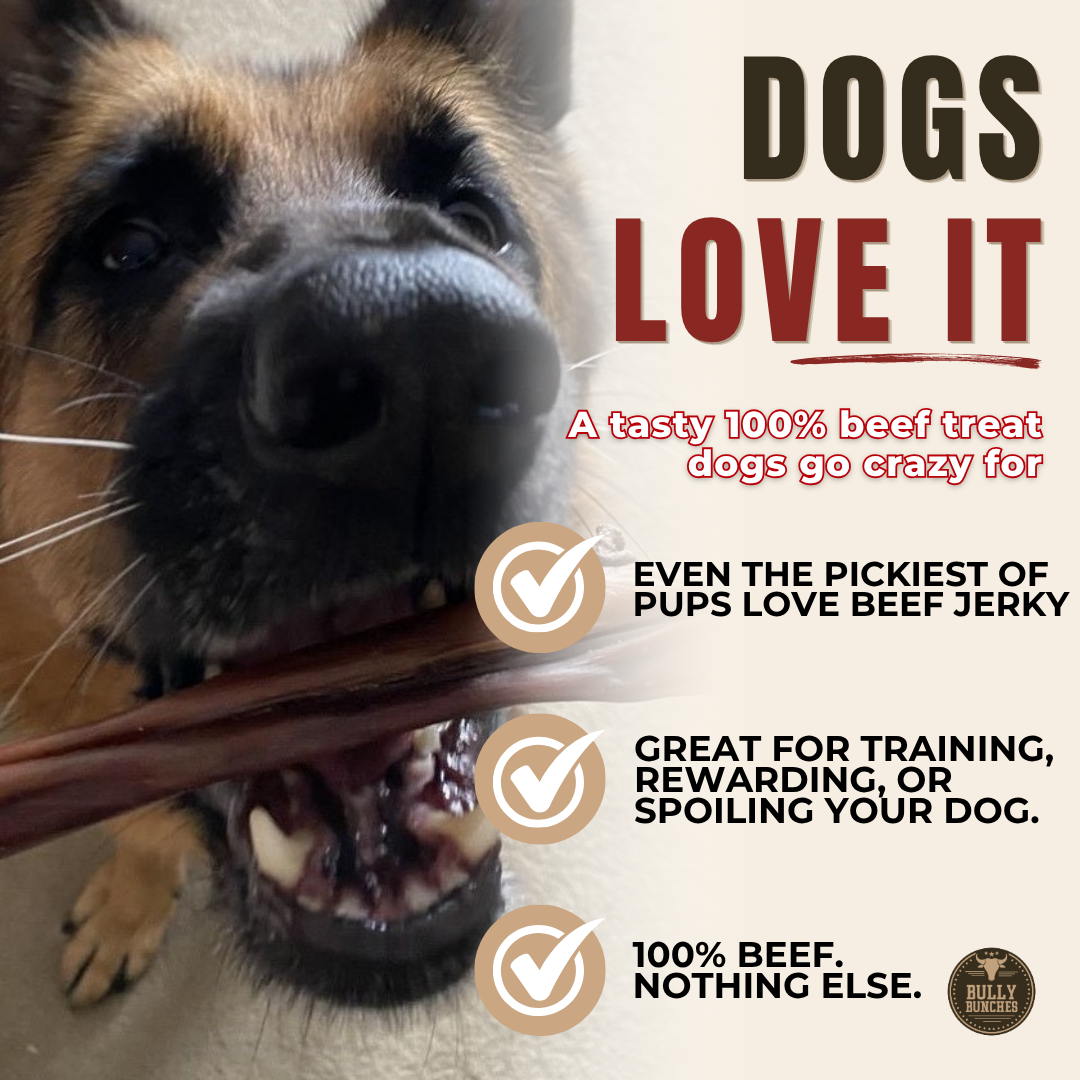 6 Inch Beef Jerky Stick by Bully Bunches