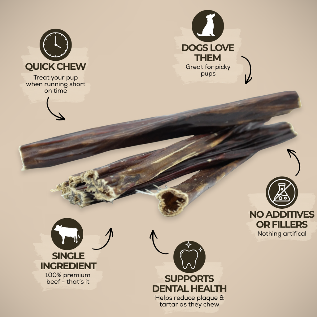 6 Inch Beef Jerky Stick by Bully Bunches