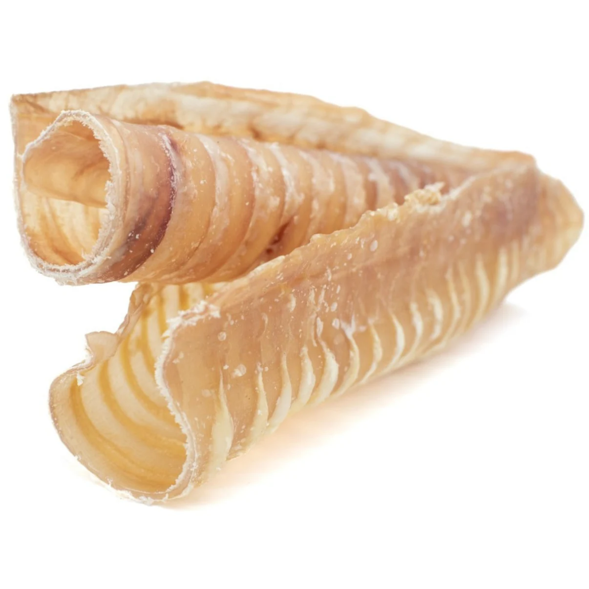 6 Inch Beef Trachea by Bully Bunches