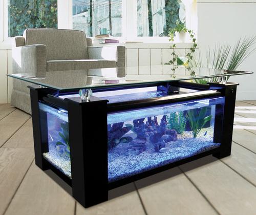 WARRANTY INCLUDED! 45 gallon GLASS rectangle table aquarium fish tank full setup by Northeast Aquariums LLC