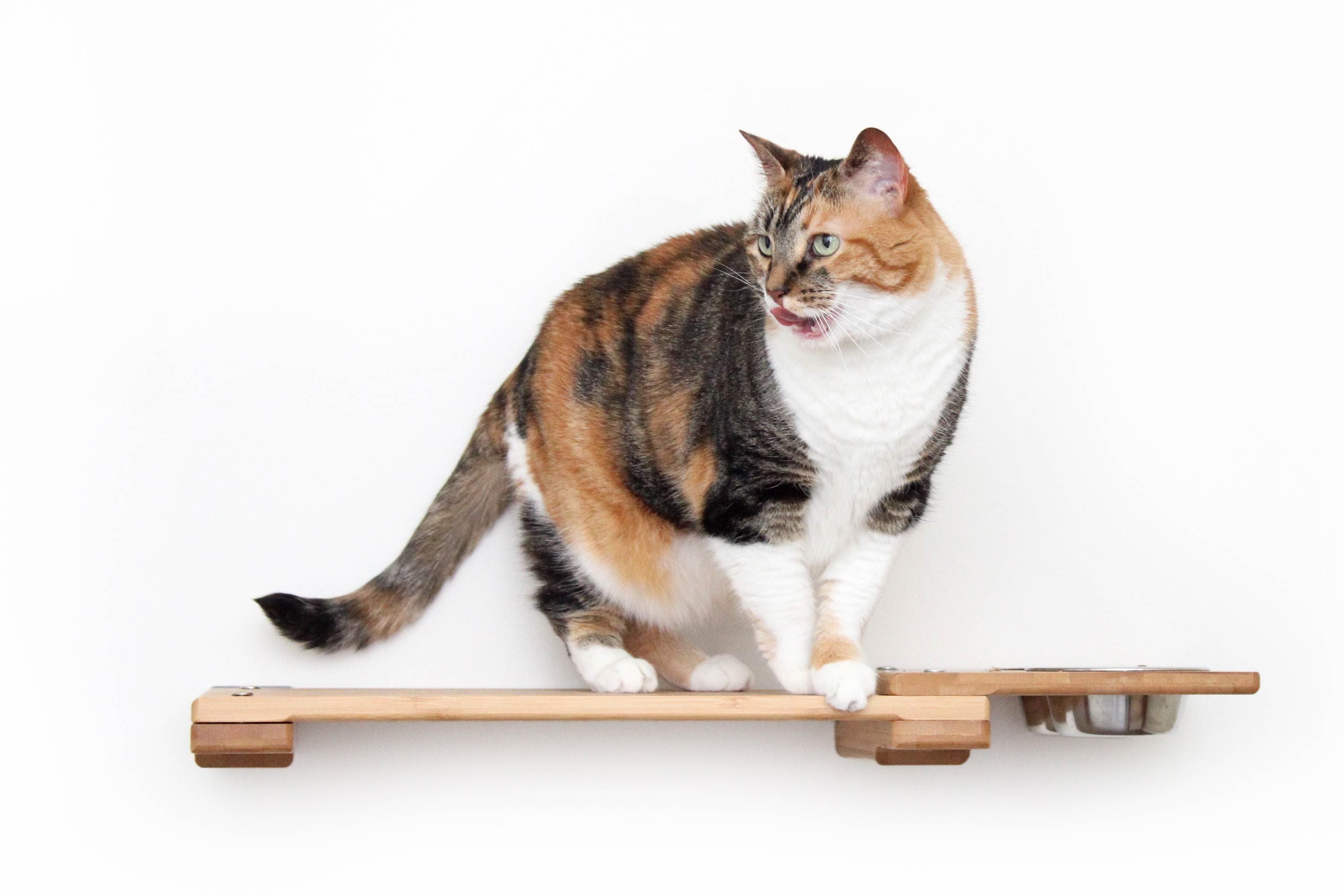 Wall Mounted Cat Feeding Shelf by Catastrophic Creations
