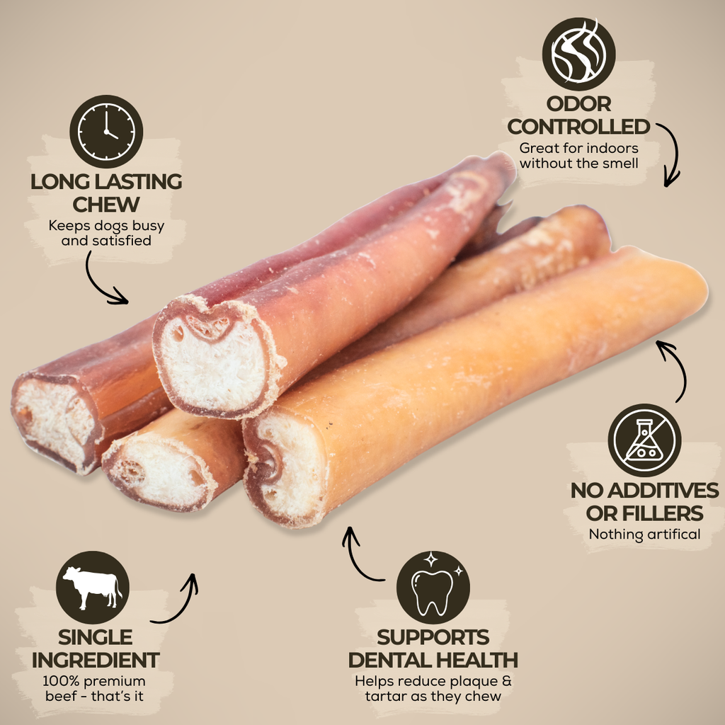 6 Inch Jumbo Bully Stick by Bully Bunches