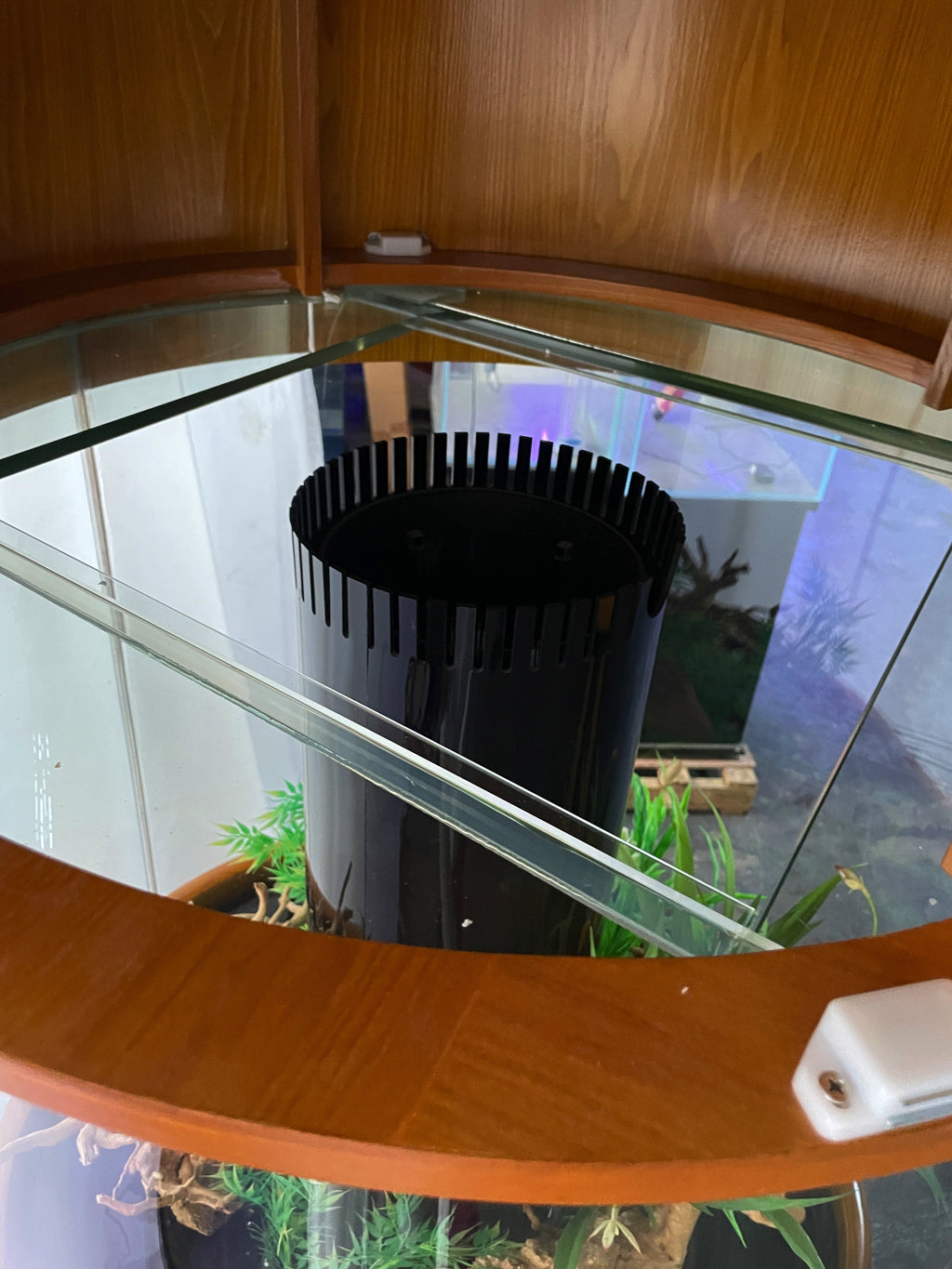 100 Gallon Glass Full Cylinder Aquarium Minor Blemish Reef-Ready Aquarium in Golden Oak Real Wood Furniture by Northeast Aquariums LLC