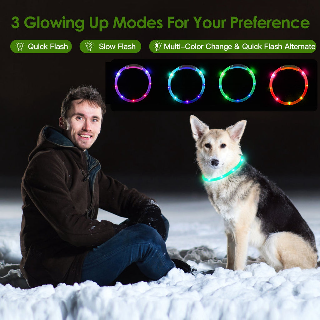 USB Rechargeable LED Dog Collar Multi Color by Amazing Pet Bargains