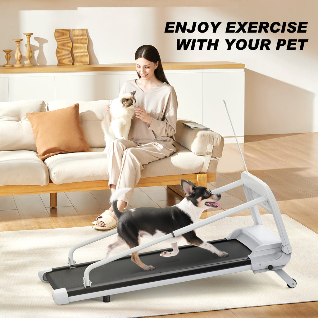 2025 New Quiet Smart Pet Treadmill, Adjustable Speed, Perfect For Small Medium Dogs by Amazing Pet Bargains
