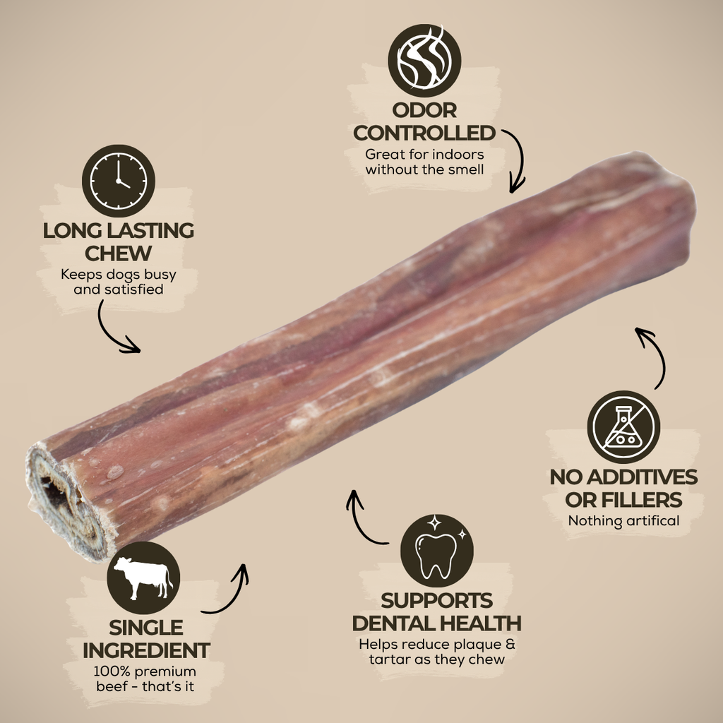 5-6 Inch Champion Chew by Bully Bunches