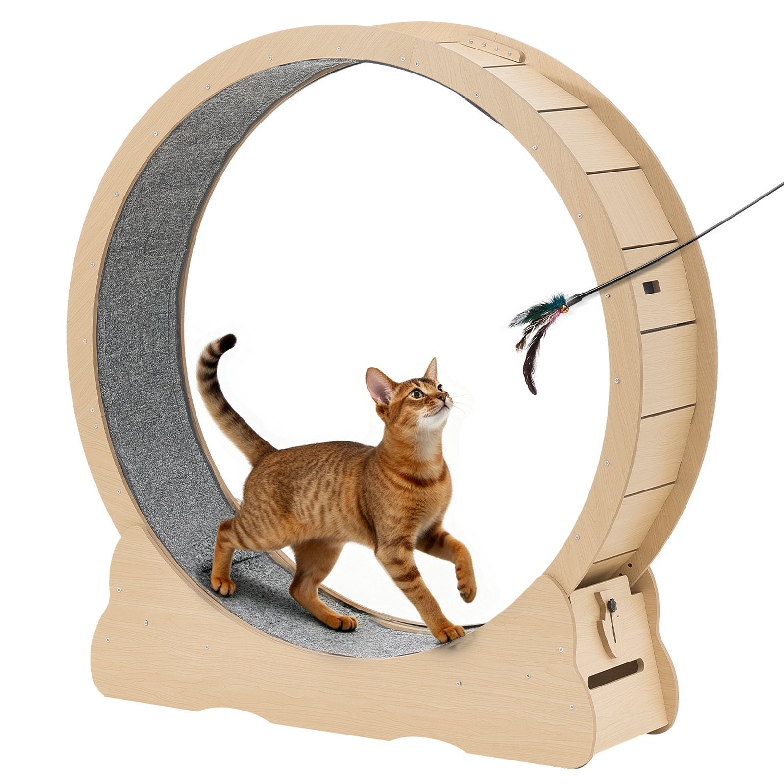 Cat Exercise Wheel, 48 In Wooden Cat Running Wheel For Indoor Cats Up To 28 Lbs by Love My Pet
