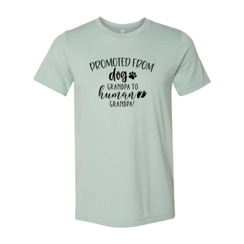 Promoted From Dog Grandpa to Human Grandpa T-Shirt by Furr Baby Gifts