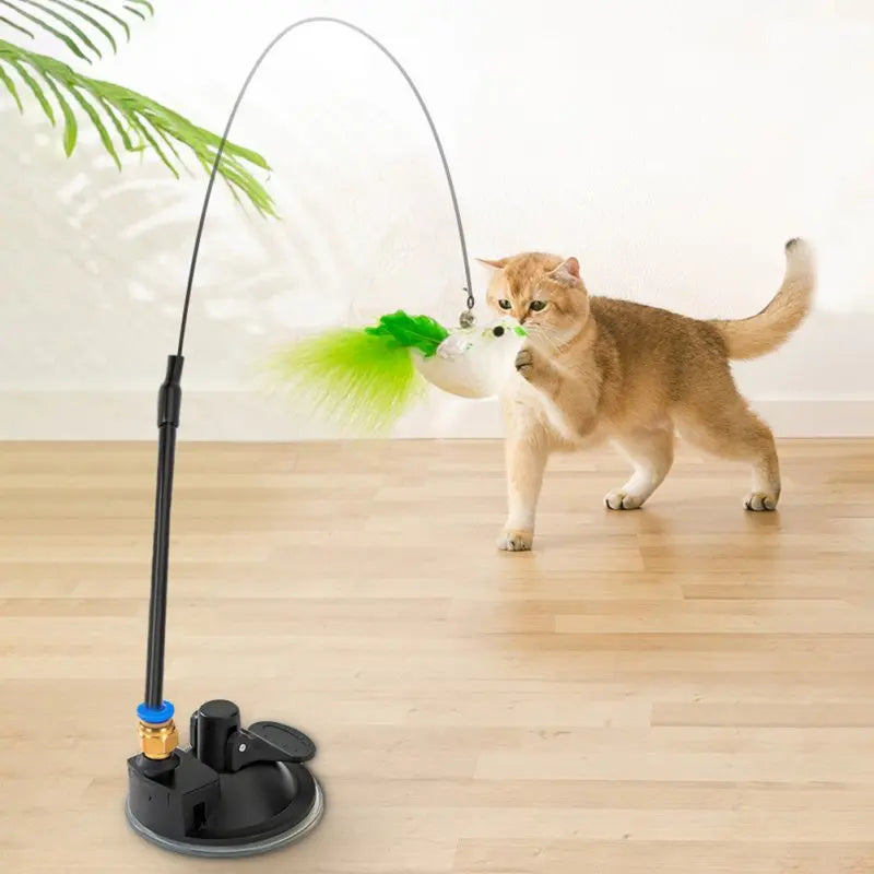 Interactive Cat Toy Feather Bird with Multiple Options by Love My Pet