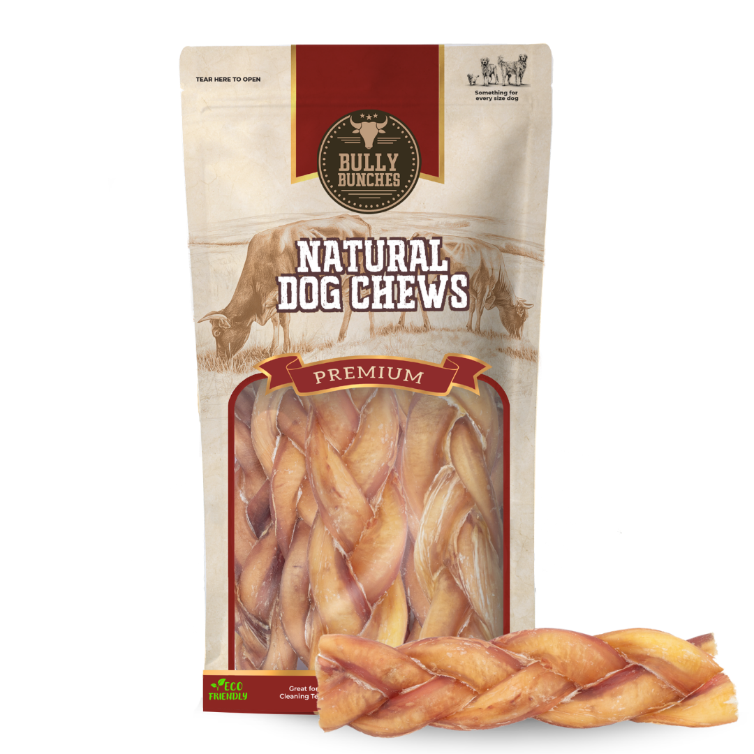 6 Inch Jumbo Braided Bully Stick by Bully Bunches