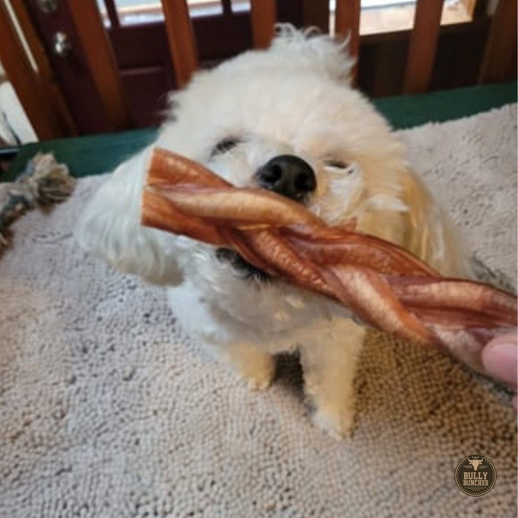 6 Inch Standard Braided Bully Stick by Bully Bunches
