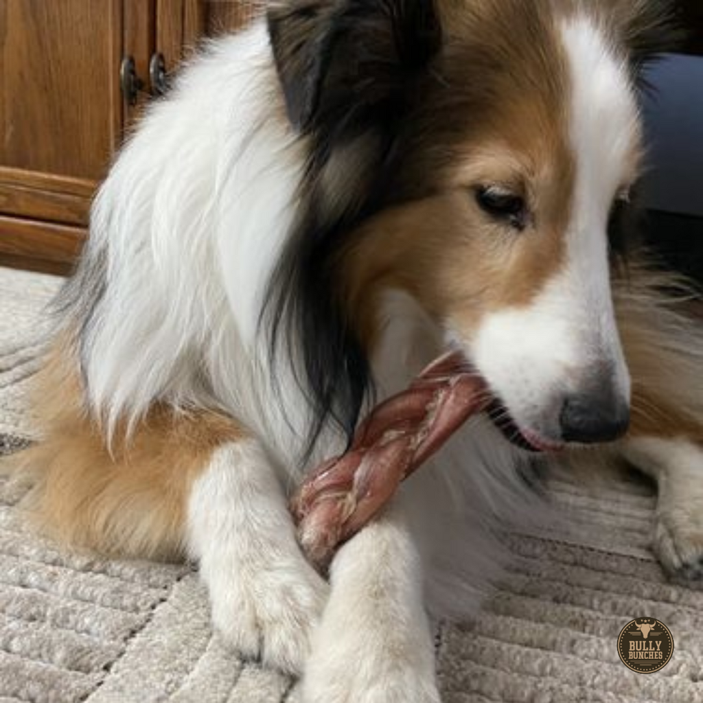 6 Inch Thick Braided Bully Stick by Bully Bunches