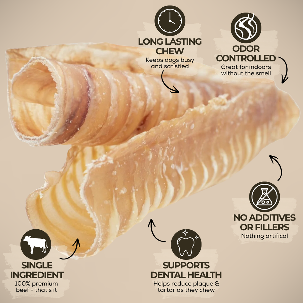 6 Inch Beef Trachea by Bully Bunches