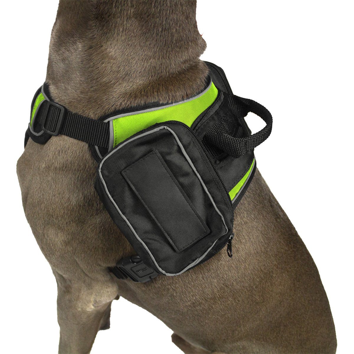 Quest Removable Utility Saddlebags + Built-In Waste Bag Dispenser by Dogline