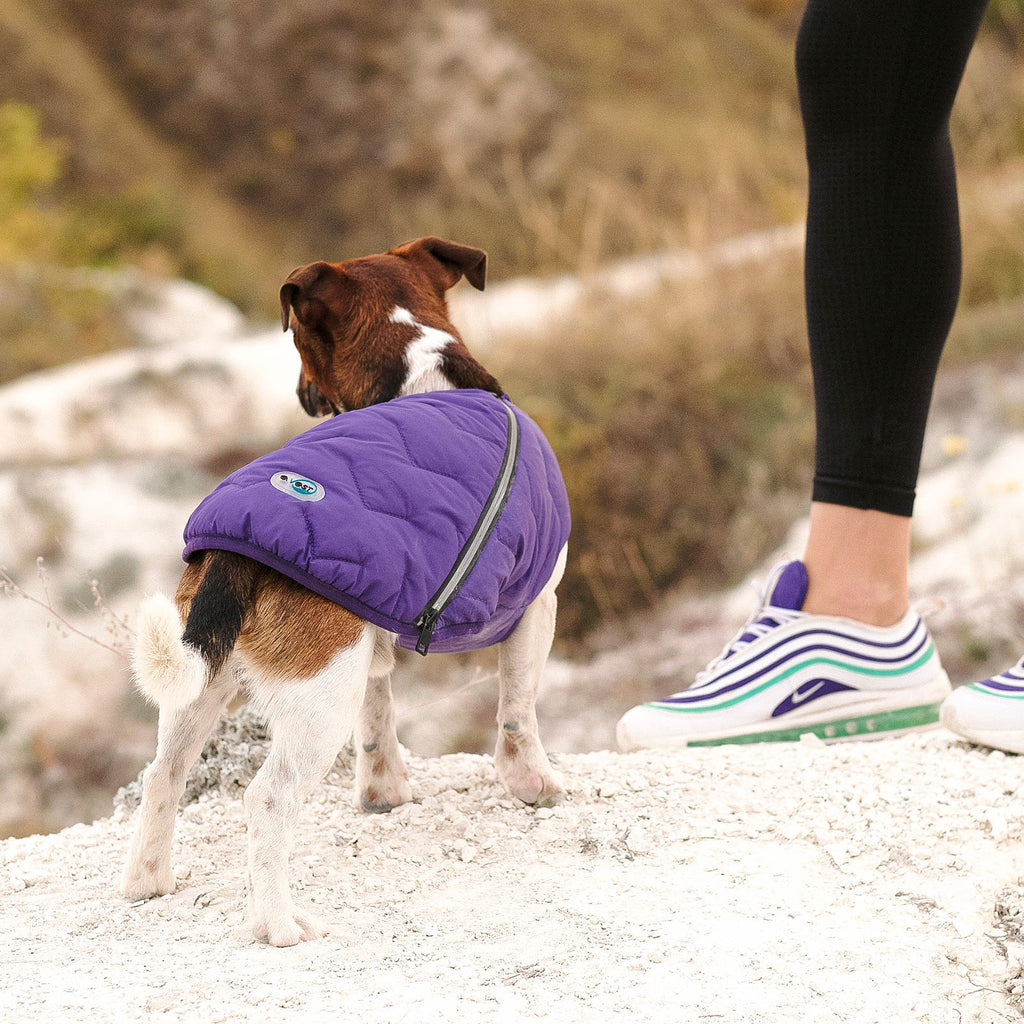 Sustainable Eco-Friendly Dog Jacket / Vest - Made in Ukraine by Bonne et Filou