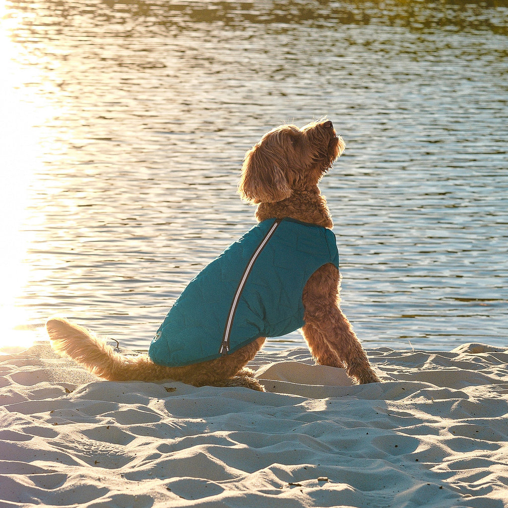 Sustainable Eco-Friendly Dog Jacket / Vest - Made in Ukraine by Bonne et Filou