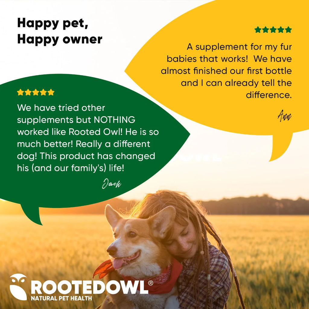 Joint & Muscle Health by Rooted Owl Pet Supplements