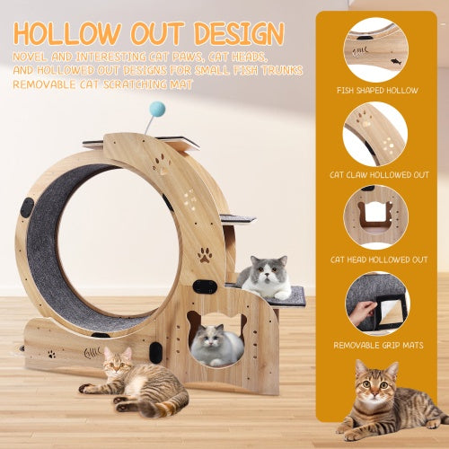 Cat Wheel 6-in-1 Cat Fitness Wheel by Love My Pet