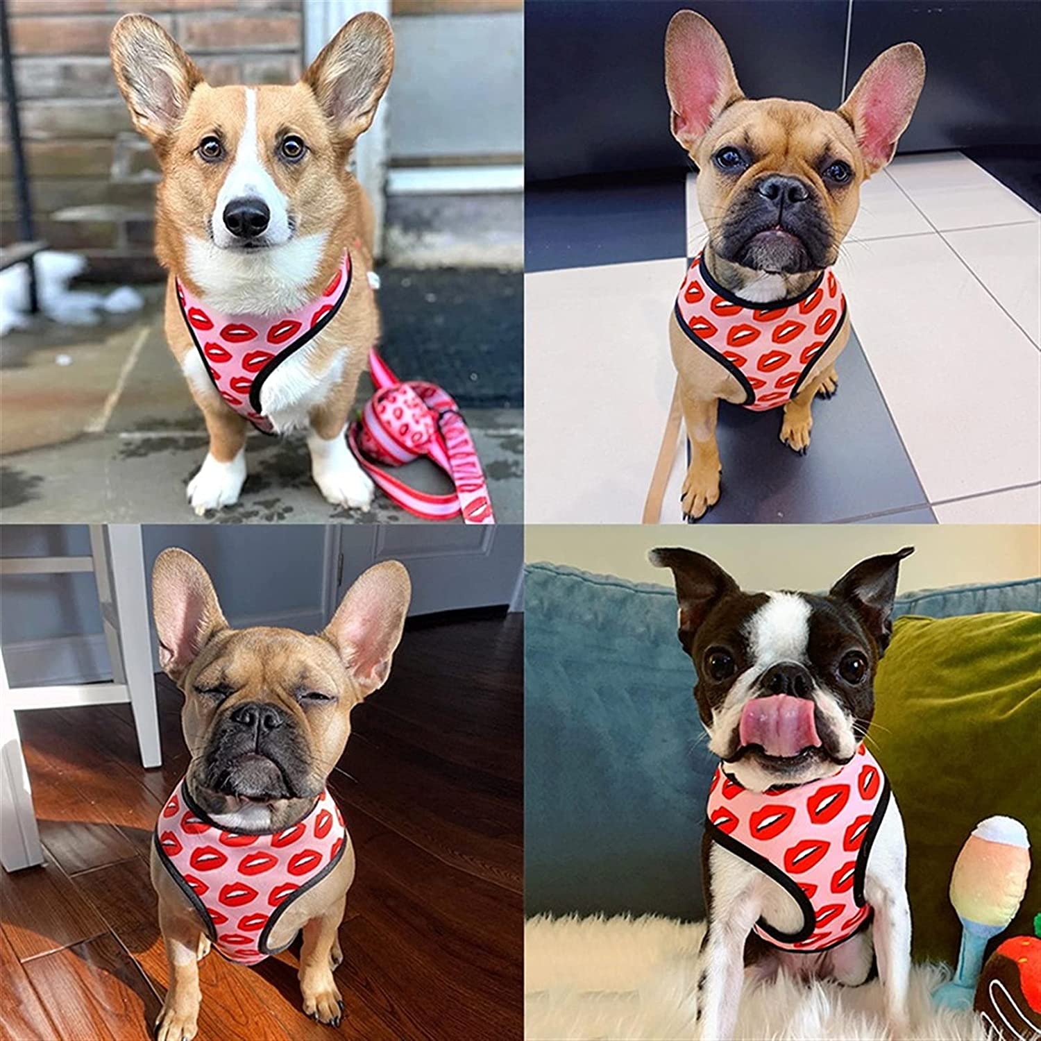 Luxury Red Lips Breathable Mesh Harness Chest Back + Traction by Furr Baby Gifts