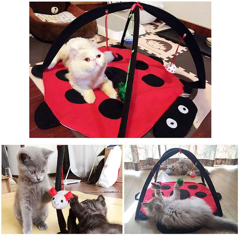 Black Ladybug Cat Play Mat by Furr Baby Gifts