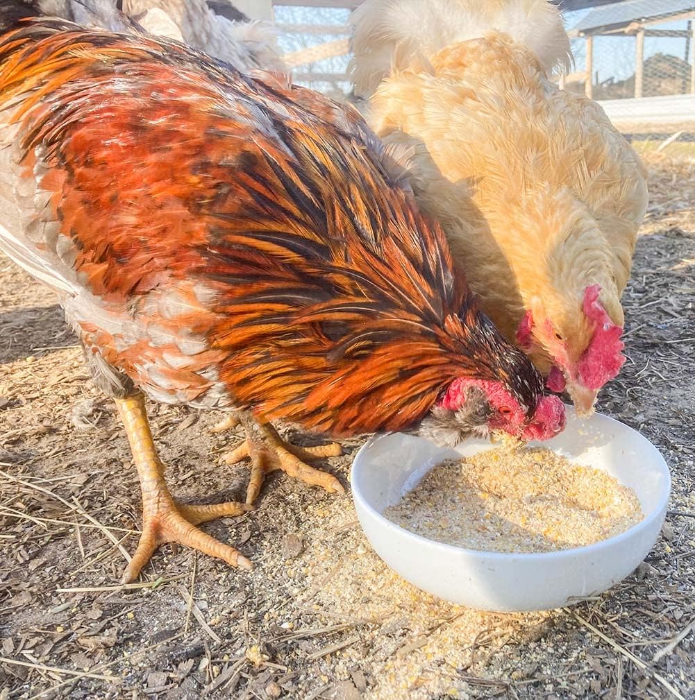 Egg-Cellent Yolks: For Healthy, Golden Yolks - Naturally! by Dahlia Pets