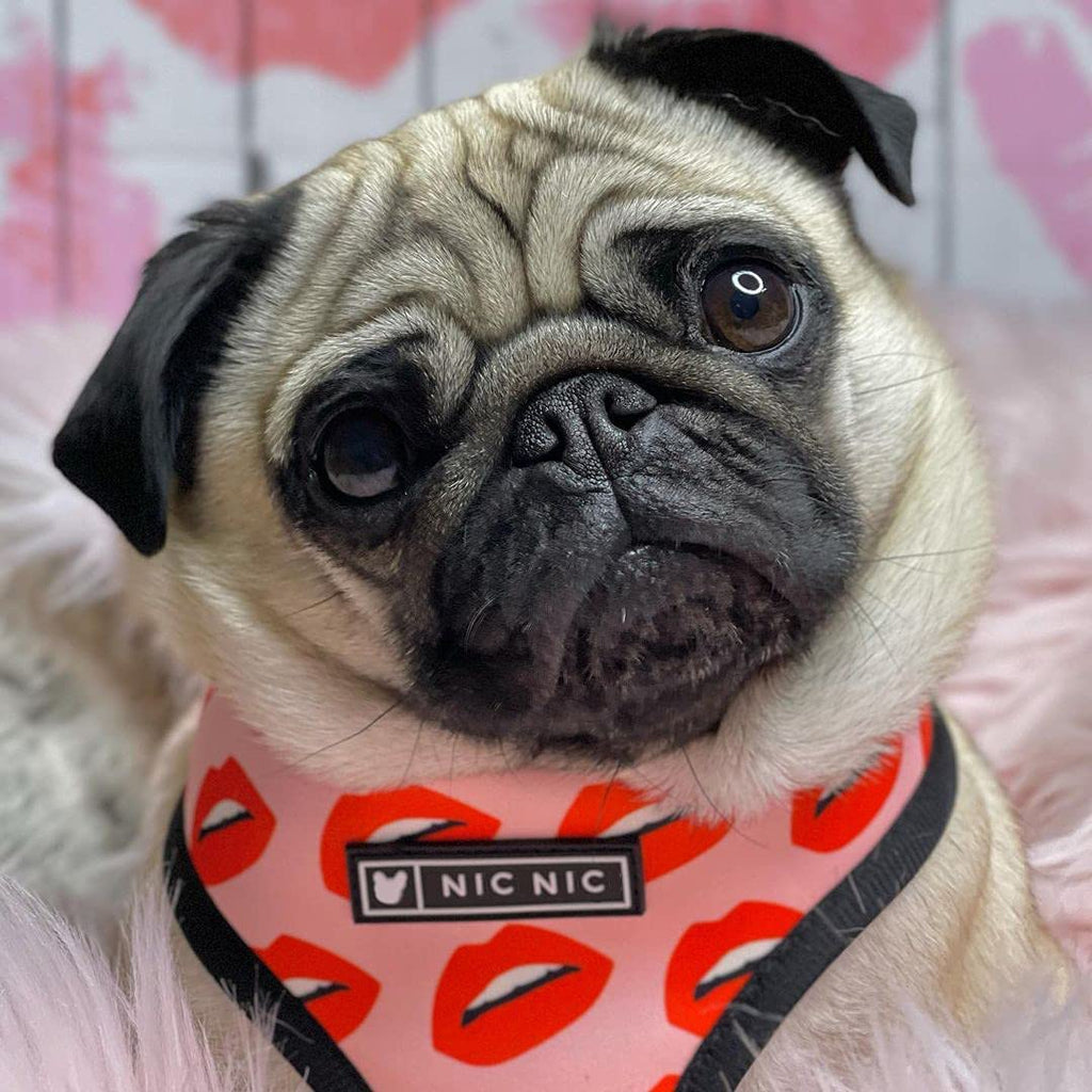 Luxury Red Lips Breathable Mesh Harness Chest Back + Traction by Furr Baby Gifts