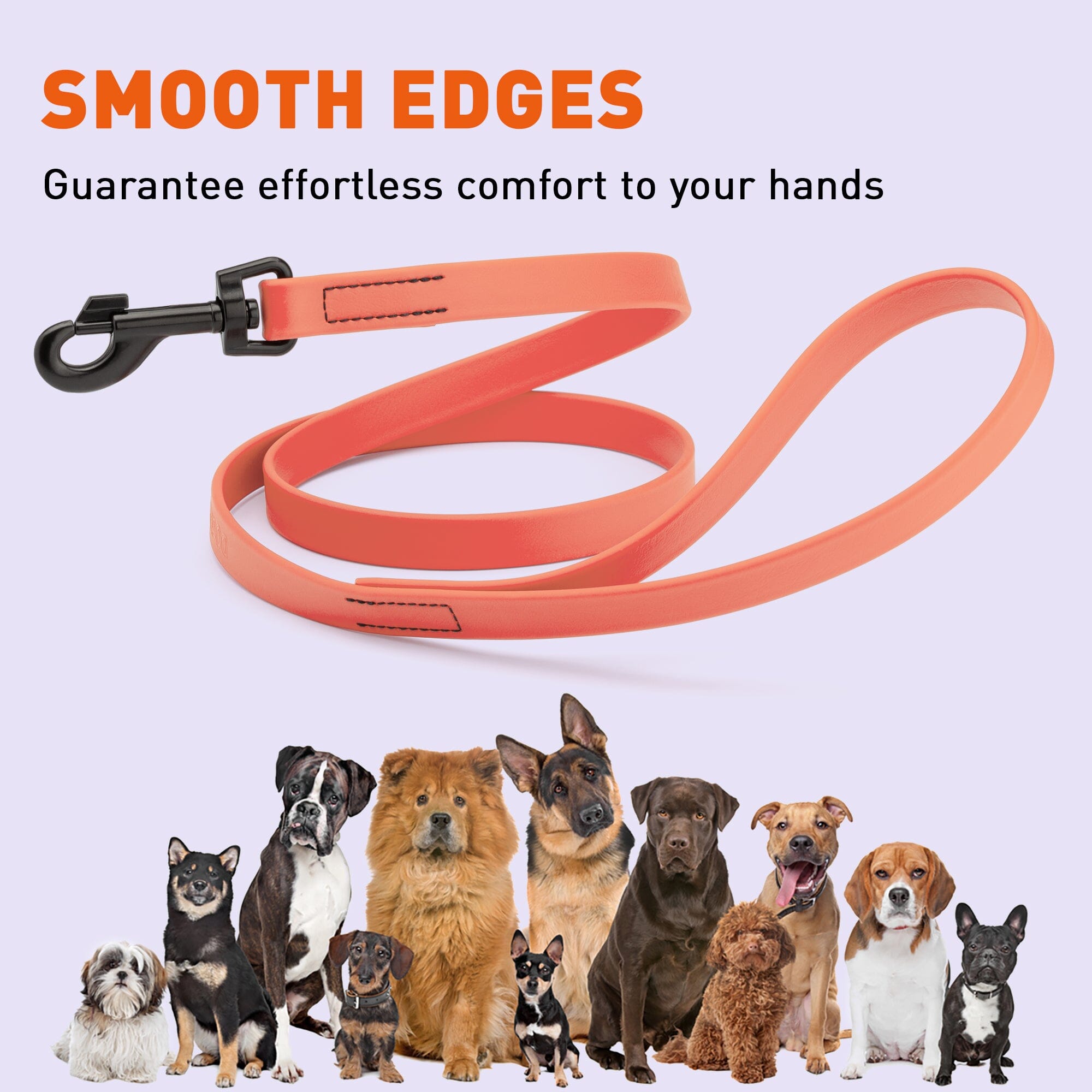 Biothane Waterproof Dog Leash, 4 ft by Dogline