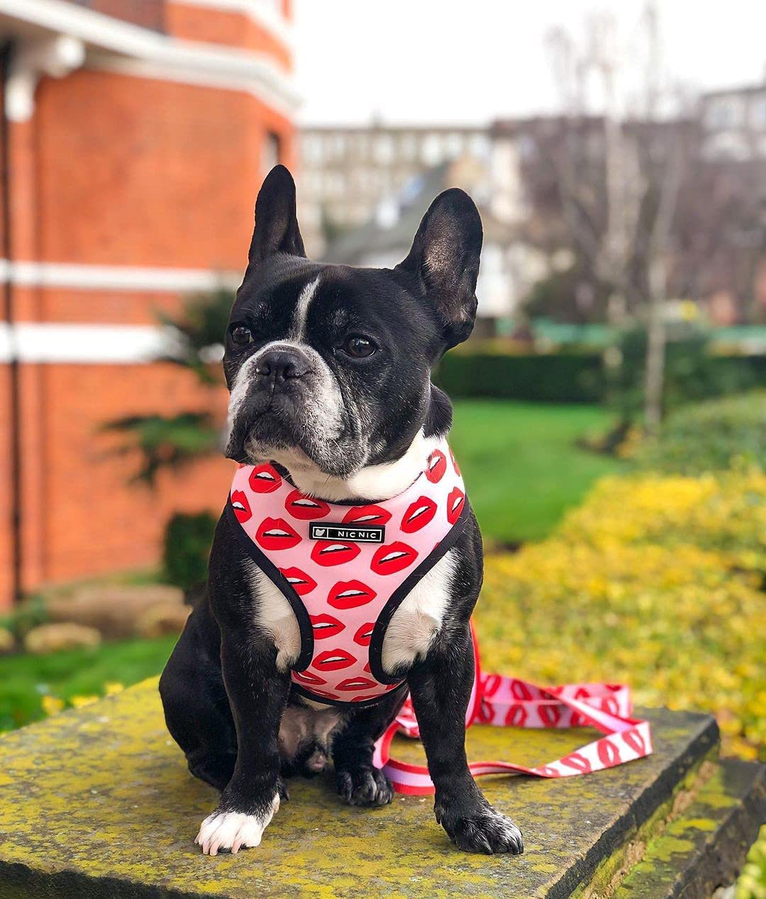 Luxury Red Lips Breathable Mesh Harness Chest Back + Traction by Furr Baby Gifts