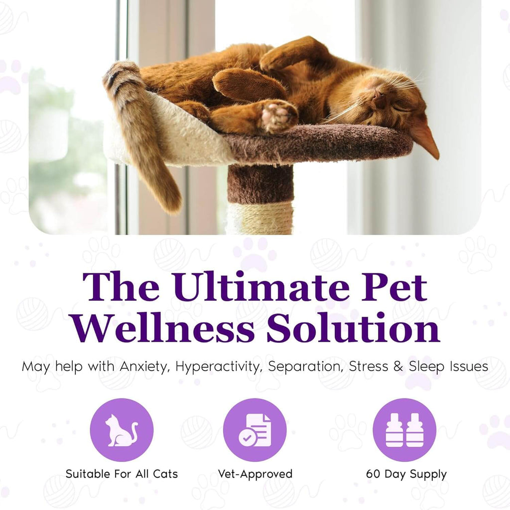 Purrfect Cat Calming Diffuser Kit with 2 Refills by Petnatics