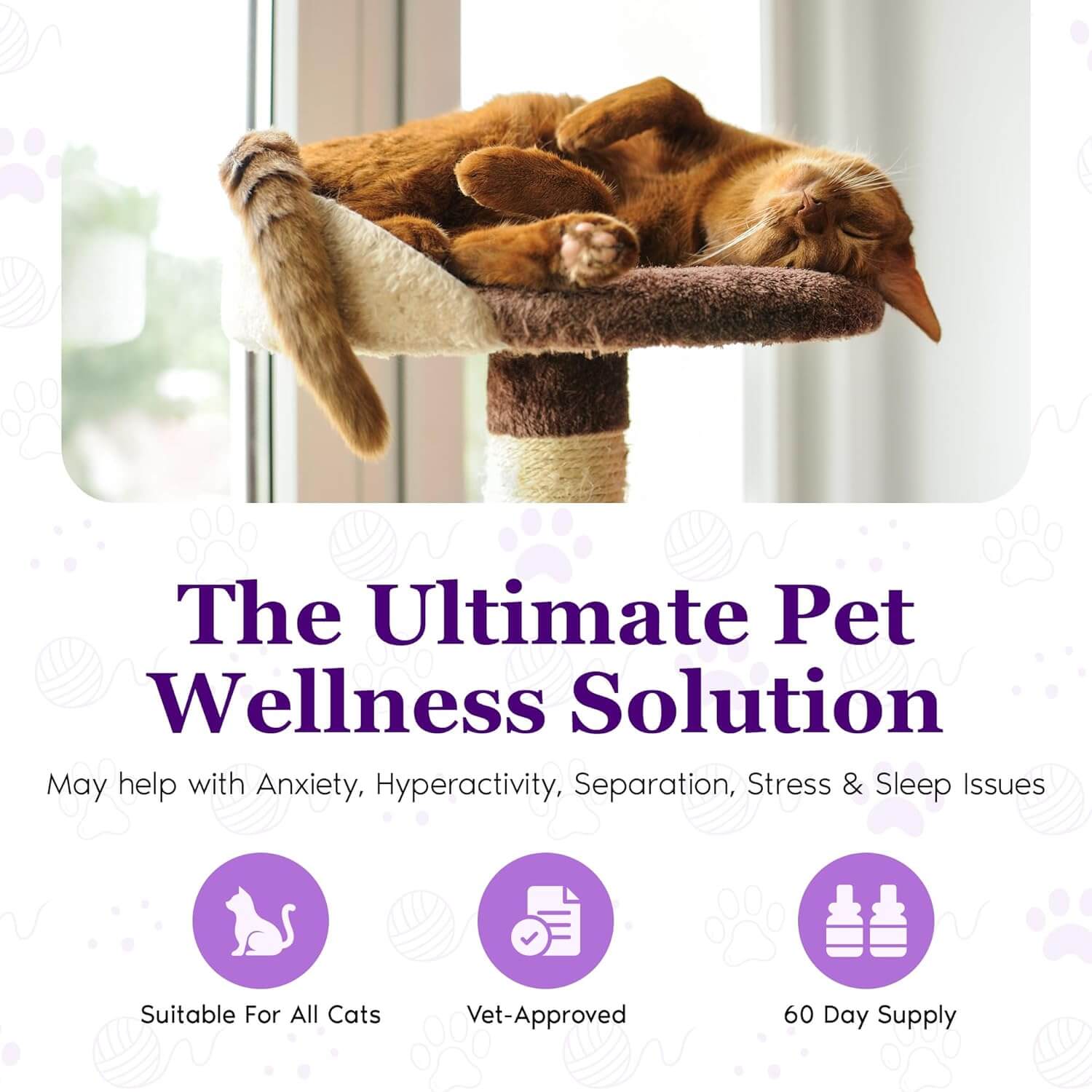 Purrfect Cat Calming Diffuser Kit with 2 Refills by Petnatics
