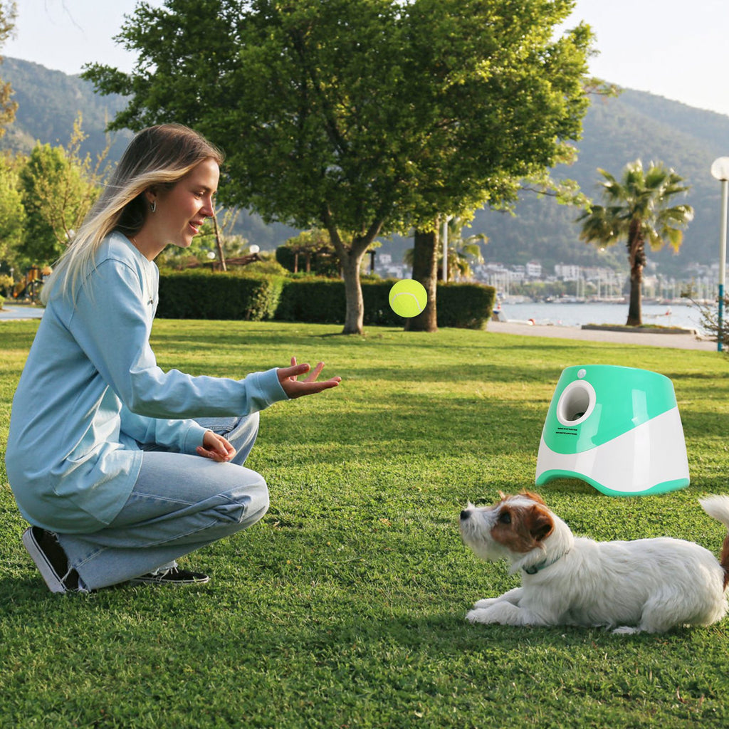 1Pc Automatic Dog Ball Launcher Included 6 Tennis Balls With 3 Adjustable Launch Distance by VetsPetStore