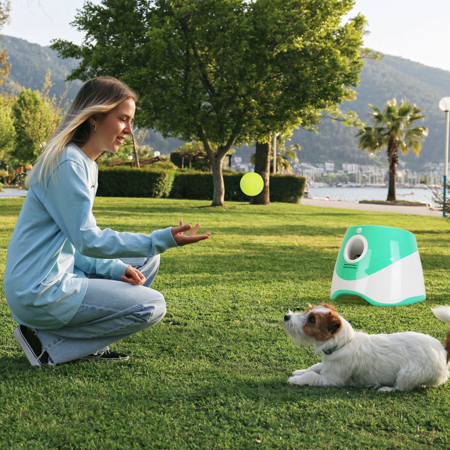 1Pc Automatic Dog Ball Launcher Included 6 Tennis Balls With 3 Adjustable Launch Distance by VetsPetStore