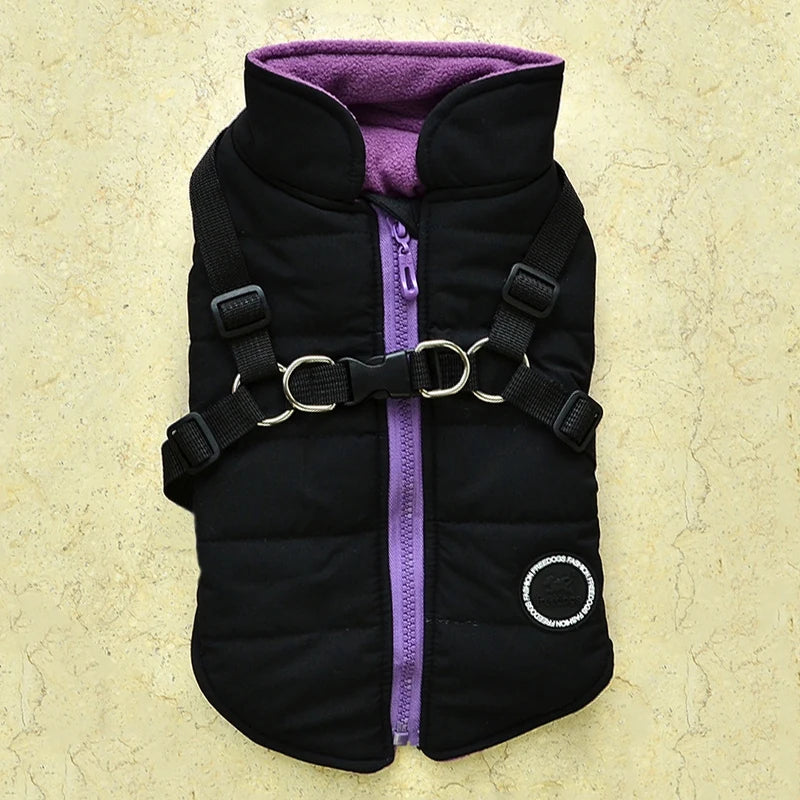 Winter Pet Jacket With Buckle by Love My Pet