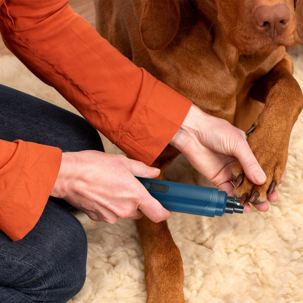 USB Rechargeable Pet Nail Grinder and Trimmer by Amazing Pet Bargains