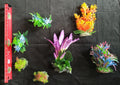 Premium Artificial Aquarium Plant Package for Fish Tank, COLOR HEAVEN by Northeast Aquariums LLC