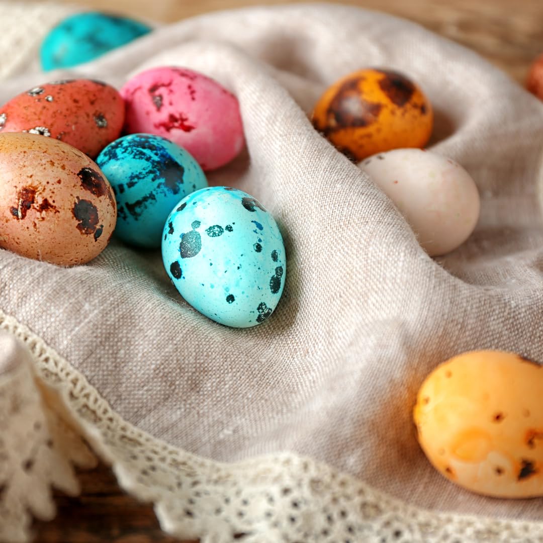 Empty Whole Eggshells Quail Eggs Hollowed - Set of 10 Cleaned Hollow Quail Eggs Perfect for Crafting and Decoration by Quailz.com by Undique LLC