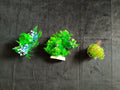 Premium Artificial Aquarium Plant Package for Fish Tank, 10 Gallon Pack by Northeast Aquariums LLC