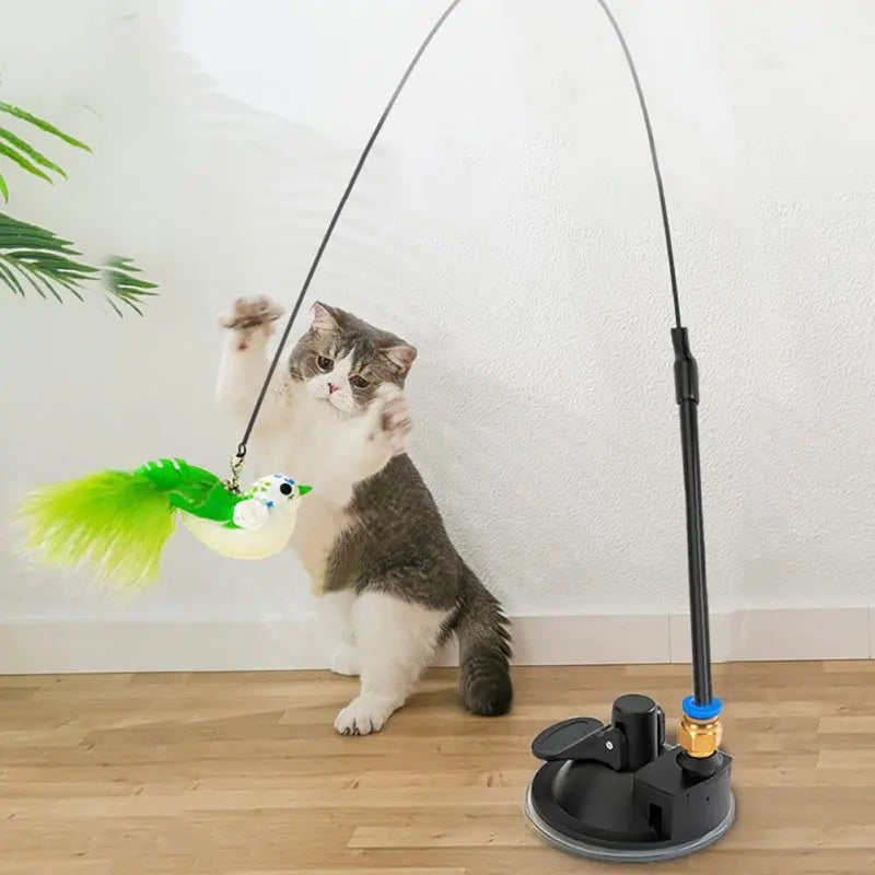 Interactive Cat Toy Feather Bird with Multiple Options by Love My Pet